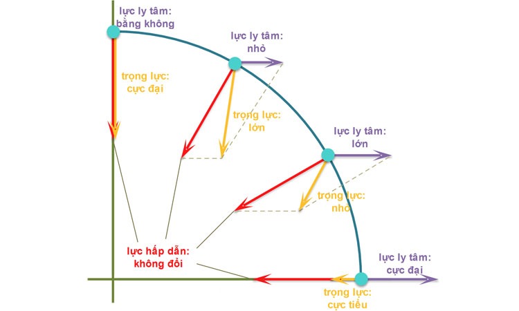 Các yếu tố ảnh hưởng đến lực ly tâm